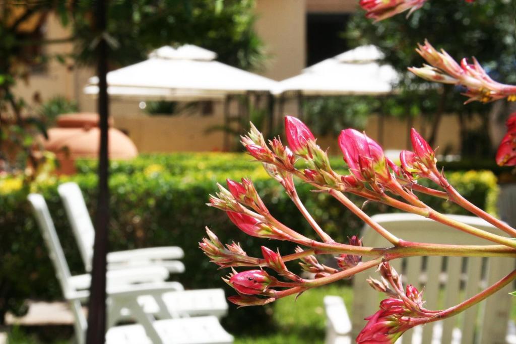 Solemare Accommodation Alghero Exterior foto